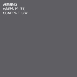 #5E5E63 - Scarpa Flow Color Image